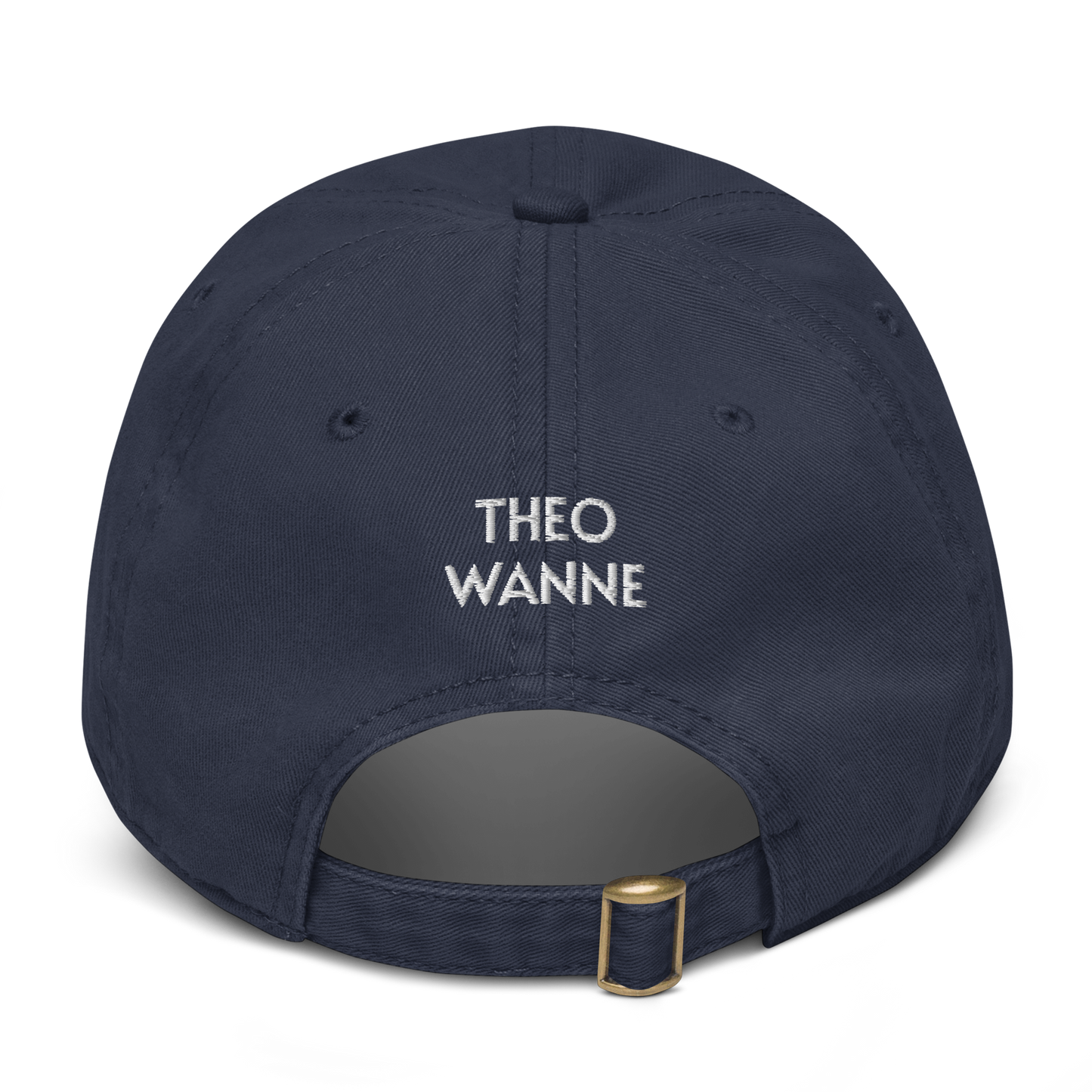 passed the pop test hat navy rear