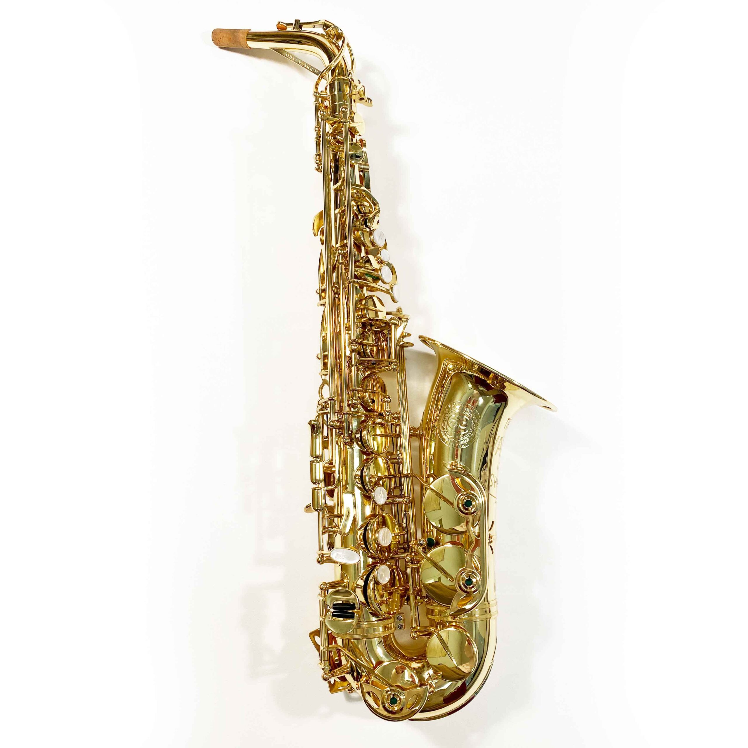 SHAKTI Alto Saxophone - Theo Wanne