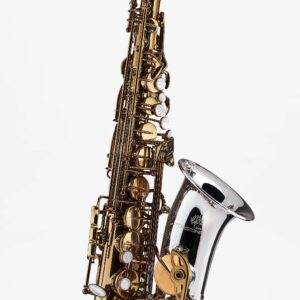 SHAKTI Alto Saxophone - Theo Wanne